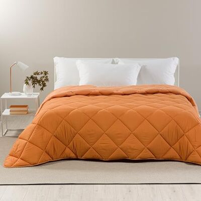 Caleffi Bettdecke 200x200 cm aus 100% Mikrofaser – Steppdecke, Duvet, Sommerdecke, Decke 200x200, Blanket, Bettdecken, Bettdecke 155x220, Weich & Langlebig für Erholsamen Schlaf, Doppelbettdecke Caleffi Bettdecke 200x200 cm aus 100% Mikrofaser – Steppdecke, Duvet, Sommerdecke, Decke 200x200, Blanket, Bettdecken, Bettdecke 155x220, Weich & Langlebig für Erholsamen Schlaf, Doppelbettdecke
