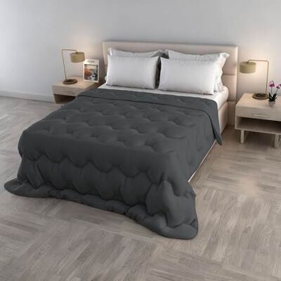 Italian Bed Linen Winterbettdecke WaterWashed, Doppelbett 250x260 cm, Made in Italy, Gesteppte Decke mit 300 g Füllung, waschbar OHNE BÜGELN – Farbe DUNKELGRAU Italian Bed Linen Winterbettdecke WaterWashed, Doppelbett 250x260 cm, Made in Italy, Gesteppte Decke mit 300 g Füllung, waschbar OHNE BÜGELN – Farbe DUNKELGRAU