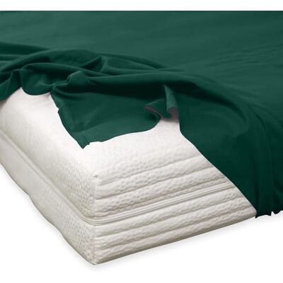 Traumschlaf Feinbiber Haustuch Bettlaken – warmes Winter-Bettlaken aus 100% Baumwolle, flauschig weich, ohne Spannumrandung, geeignet für Matratzen bis ca. 30 cm – 220x260 cm – Tanne Traumschlaf Feinbiber Haustuch Bettlaken – warmes Winter-Bettlaken aus 100% Baumwolle, flauschig weich, ohne Spannumrandung, geeignet für Matratzen bis ca. 30 cm – 220x260 cm – Tanne