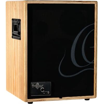 Ortega Guitars Amplification Series Combo Zweikanal Akustik Verstärker 29,5 x 27,9 x 38,8 cm Inklusive Schutzhülle Esche, Natur (CONE-ASH) Ortega Guitars Amplification Series Combo Zweikanal Akustik Verstärker 29,5 x 27,9 x 38,8 cm Inklusive Schutzhülle Esche, Natur (CONE-ASH)