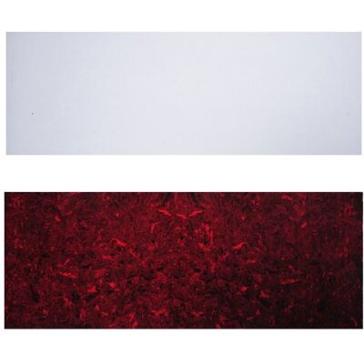 Kmise Mundstückkapsel transluzent & Rot Weich selbstklebend Akustische Gitarre Pickguard Schlagbrett Blatt Kmise Mundstückkapsel transluzent & Rot Weich selbstklebend Akustische Gitarre Pickguard Schlagbrett Blatt