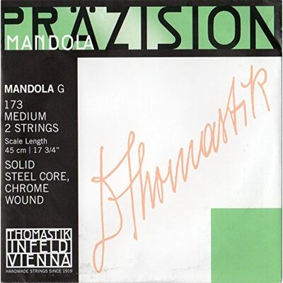 Thomastik-Infeld Thomastik Einzelsaite G 173mittel (1 Paar) poliertes Chromstahlband, flatwound für Mandola Präzision Satz 174mittel Thomastik-Infeld Thomastik Einzelsaite G 173mittel (1 Paar) poliertes Chromstahlband, flatwound für Mandola Präzision Satz 174mittel