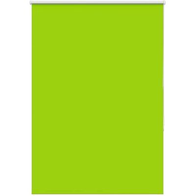 vidaXL Grüne Rollos - Sichtschutz & Lichtsteuerung vidaXL Grüne Rollos - Sichtschutz & Lichtsteuerung
