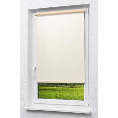 LYSEL Outlet Mini Rollo Tageslicht Vanille (B x H) 103cm x 175cm LYSEL Outlet Mini Rollo Tageslicht Vanille (B x H) 103cm x 175cm