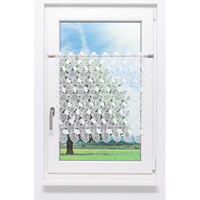 Plauener Spitze Scheibengardine Kieselsteine (Bx H) 160cm * 60cm weiß Plauener Spitze Scheibengardine Kieselsteine (Bx H) 160cm * 60cm weiß