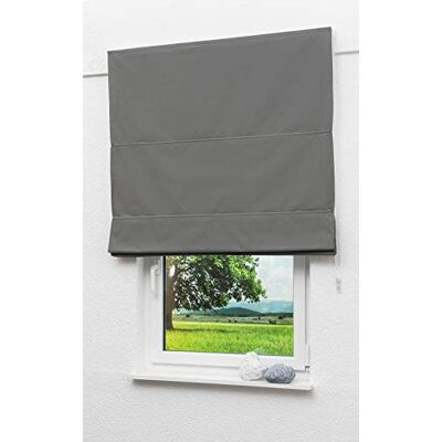 LYSEL Outlet Raffrollo grau, abdunkelnd mit Kettenzug, Maße: (Bx H) 100cm * 170cm LYSEL Outlet Raffrollo grau, abdunkelnd mit Kettenzug, Maße: (Bx H) 100cm * 170cm