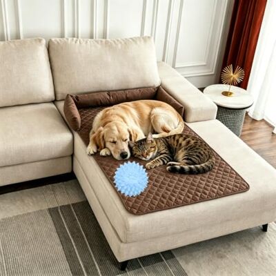 fjaldjfu Pelzbarn Kühlendes Sofabett Für Hunde, 90x90cm Kühlende Hundedecke Sofa Mit Kopfkissen, Waschbar Cooling Sofa Bed Für Sofas Und Boden Halten Sie Ihr Fellbaby Kühler Und Bequemer (#1,90*120cm) fjaldjfu Pelzbarn Kühlendes Sofabett Für Hunde, 90x90cm Kühlende Hundedecke Sofa Mit Kopfkissen, Waschbar Cooling Sofa Bed Für Sofas Und Boden Halten Sie Ihr Fellbaby Kühler Und Bequemer (#1,90*120cm)