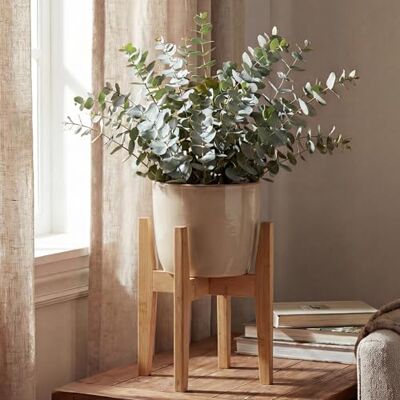 Mendler Bambus Pflanzenständer HWC-Q31, Blumenständer Blumentopfständer Blumenhalter, verstellbar 30x27-37cm Natur Mendler Bambus Pflanzenständer HWC-Q31, Blumenständer Blumentopfständer Blumenhalter, verstellbar 30x27-37cm Natur
