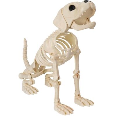 JOYIN Halloween Golden Retriever Skelett 86,4 cm Tier Hund Kunststoff Skelett mit beweglichen beweglichen Gelenken für Spukhäuser Halloween Dekorationen Friedhofsszenen, Outdoor Indoor Garten Party JOYIN Halloween Golden Retriever Skelett 86,4 cm Tier Hund Kunststoff Skelett mit beweglichen beweglichen Gelenken für Spukhäuser Halloween Dekorationen Friedhofsszenen, Outdoor Indoor Garten Party