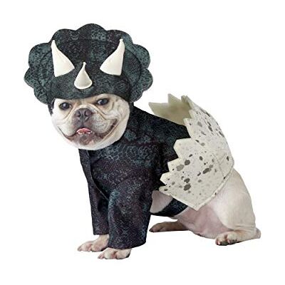 California Costumes Dino-Kostüm für Hunde, Größe S California Costumes Dino-Kostüm für Hunde, Größe S