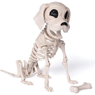 JOYIN Halloween Hund Skelett Ganzkörper Posable Gelenke Skelett Welpe, Sitzendes Hunde Skelett Deko Mit Realistischen Zähnen für Halloween Dekoration Friedhof Spukhaus Party 24.8cm x 32cm JOYIN Halloween Hund Skelett Ganzkörper Posable Gelenke Skelett Welpe, Sitzendes Hunde Skelett Deko Mit Realistischen Zähnen für Halloween Dekoration Friedhof Spukhaus Party 24.8cm x 32cm