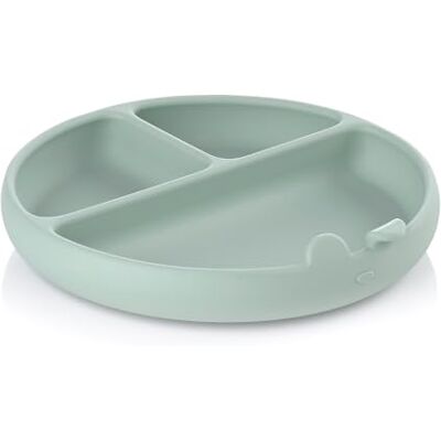 Jane Jané BLW Silikon Baby Teller mit Saugnapf und Fächern, BPA-frei, Mikrowellengeeignet, Farbe Grün Jane Jané BLW Silikon Baby Teller mit Saugnapf und Fächern, BPA-frei, Mikrowellengeeignet, Farbe Grün