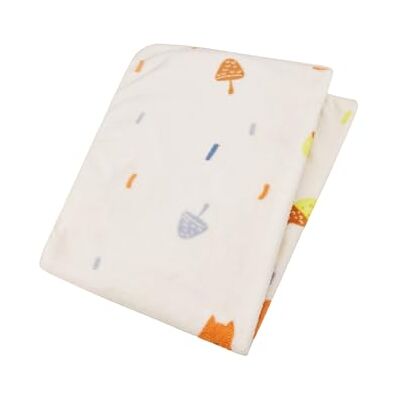 Sterntaler Babydecke Fuchs Filou 100x75cm Kuscheldecke aus weichem Plüsch mit süßem All-Over Motiv eine Kurze & eine langflorige Seite ab Geburt Geschenk Idee ab Geburt, lichtgrau Sterntaler Babydecke Fuchs Filou 100x75cm Kuscheldecke aus weichem Plüsch mit süßem All-Over Motiv eine Kurze & eine langflorige Seite ab Geburt Geschenk Idee ab Geburt, lichtgrau