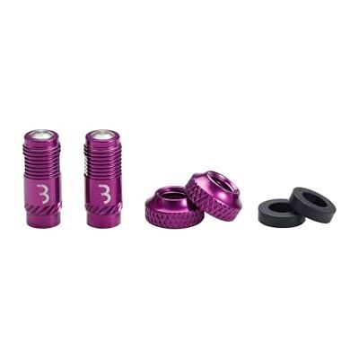 BBB Cycling CoreCap Ventilkappen-Set (2 Stück) – Innovativer Ersatz für Presta-Ventileinsätze, bis zu 300% mehr Luftstrom, Ideal für Tubeless, MTB, Rennrad & E-Bike BTI-165 Lila BBB Cycling CoreCap Ventilkappen-Set (2 Stück) – Innovativer Ersatz für Presta-Ventileinsätze, bis zu 300% mehr Luftstrom, Ideal für Tubeless, MTB, Rennrad & E-Bike BTI-165 Lila