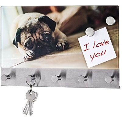 WENKO 50410100 Hakenleiste Pug 5 Haken, magnetisch, Gehärtetes Glas, 19 x 30 cm, mehrfarbig WENKO 50410100 Hakenleiste Pug 5 Haken, magnetisch, Gehärtetes Glas, 19 x 30 cm, mehrfarbig