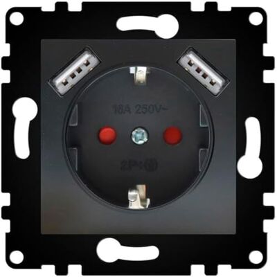 Iluminashop Elektrischer Stecker - 16A IP20 Doppel USB - Schwarz Iluminashop Elektrischer Stecker - 16A IP20 Doppel USB - Schwarz