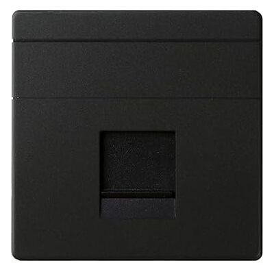 Simon Sprach- und Datenplatte mit Abdeckung - Serie 82 Simon Sprach- und Datenplatte mit Abdeckung - Serie 82