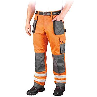 REIS Leber&Hollman LH-FMNX-T_PSB46 Formen Schutzhose, Orange-Grau-Schwarz, 46 Größe REIS Leber&Hollman LH-FMNX-T_PSB46 Formen Schutzhose, Orange-Grau-Schwarz, 46 Größe
