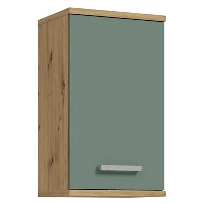 Forte VERIS Hängeschrank 40, moderner Badezimmerschrank, 1-türig, Holzwerkstoff, Salbei mit Artisan Eiche Holzdekor, 40,2 cm breit x 68,8 cm hoch x 29 cm tief Forte VERIS Hängeschrank 40, moderner Badezimmerschrank, 1-türig, Holzwerkstoff, Salbei mit Artisan Eiche Holzdekor, 40,2 cm breit x 68,8 cm hoch x 29 cm tief