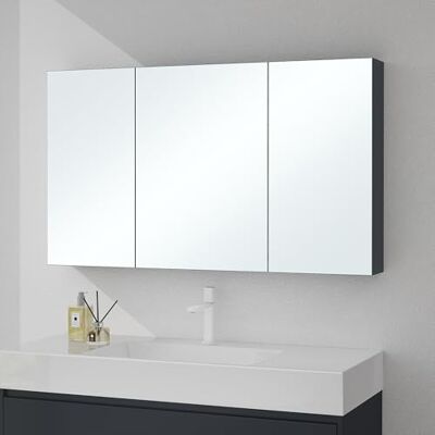 Mai & Mai Spiegelschrank mit 2 Spiegeltüren Badezimmerschrank 120x15x70 cm Hängeschrank Bad Badezimmerspiegel in Anthrazit matt, Spiegelschrank-02 Mai & Mai Spiegelschrank mit 2 Spiegeltüren Badezimmerschrank 120x15x70 cm Hängeschrank Bad Badezimmerspiegel in Anthrazit matt, Spiegelschrank-02