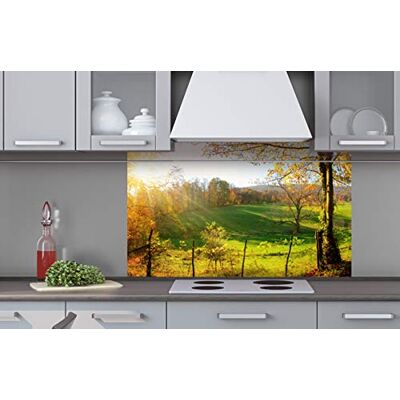 Dimex Küchenrückwand Verbundplatte Wiese 100 x 60 cm Spritzschutz Küche für Herd & Spüle Premium Qualität Acrylglas, Stärke 5 mm Made in EU Dimex Küchenrückwand Verbundplatte Wiese 100 x 60 cm Spritzschutz Küche für Herd & Spüle Premium Qualität Acrylglas, Stärke 5 mm Made in EU