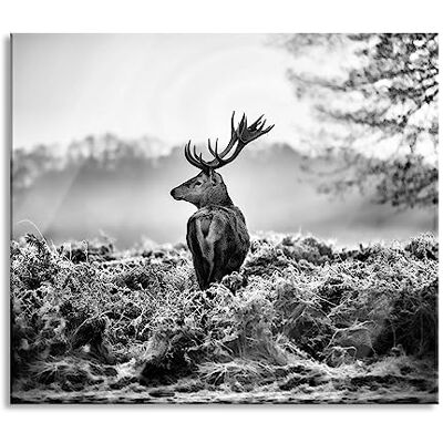 Pixxprint Stolzer Hirsch Herdabdeckplatte & Spritzschutz aus Echtglas Für Herd-Kochfelder 60x52 cm Pixxprint Stolzer Hirsch Herdabdeckplatte & Spritzschutz aus Echtglas Für Herd-Kochfelder 60x52 cm