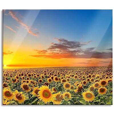 Pixxprint Sonnenuntergang Sonnenblumen Herdabdeckplatte & Spritzschutz aus Echtglas Für Herd-Kochfelder 60x52 cm Pixxprint Sonnenuntergang Sonnenblumen Herdabdeckplatte & Spritzschutz aus Echtglas Für Herd-Kochfelder 60x52 cm