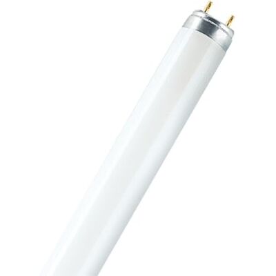 WatioWave Leuchtstoffröhre T8, 18 W, 3000 K, 590 mm, ideal für effiziente Beleuchtung in Büros und Zuhause. WatioWave Leuchtstoffröhre T8, 18 W, 3000 K, 590 mm, ideal für effiziente Beleuchtung in Büros und Zuhause.