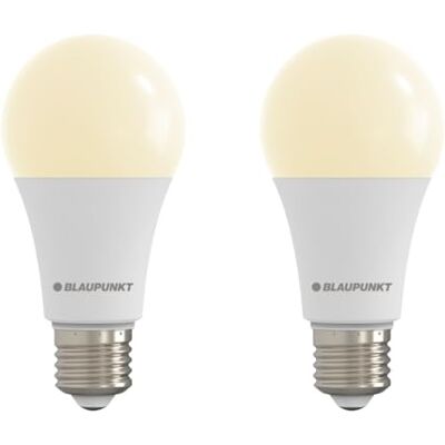Blaupunkt E27 LED Glühbirne A65 Matt Frosted – 18W (ersetzt bis zu 150W), Superhelle 1980 Lumen, 2700K Warmweiß, Nicht-Dimmbar, Augenfreundlich & Flimmerfrei, Hauptbeleuchtung – 2er Pack Blaupunkt E27 LED Glühbirne A65 Matt Frosted – 18W (ersetzt bis zu 150W), Superhelle 1980 Lumen, 2700K Warmweiß, Nicht-Dimmbar, Augenfreundlich & Flimmerfrei, Hauptbeleuchtung – 2er Pack