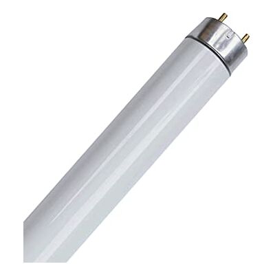 ZeXt Leuchtstofflampe Leuchtstoffröhre 6400K – Tageslicht 36W ZeXt Leuchtstofflampe Leuchtstoffröhre 6400K – Tageslicht 36W