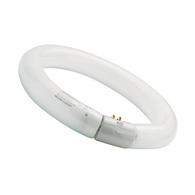 SYLVANIA T9 Leuchtstoff-Lampe, G10q Sockel, 40 Watt / 3200 Lumen entspr. ca: 40 Watt, Cool White (4000K), 16000h Lebensdauer, Ring Form, 29mm Durchmesser, Weißer Kolben, dimmbar, 1er Pack SYLVANIA T9 Leuchtstoff-Lampe, G10q Sockel, 40 Watt / 3200 Lumen entspr. ca: 40 Watt, Cool White (4000K), 16000h Lebensdauer, Ring Form, 29mm Durchmesser, Weißer Kolben, dimmbar, 1er Pack