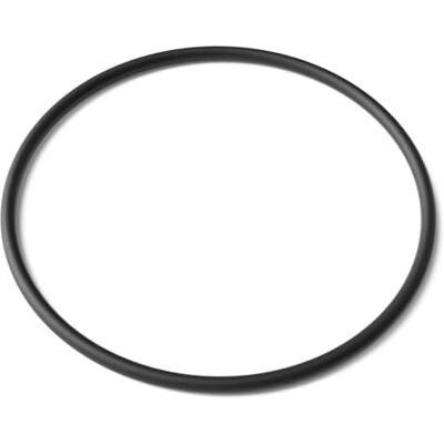SunSun Ersatzteil für CUV-218 Teichklärer – O-Ring – für Teichfilter, UV Leuchtmittel, UVC Klärer Zubehör SunSun Ersatzteil für CUV-218 Teichklärer – O-Ring – für Teichfilter, UV Leuchtmittel, UVC Klärer Zubehör