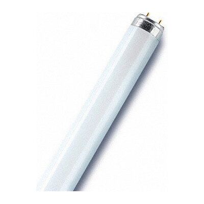 Osram L38W/83031 LUMILUX T8 L-Lampe, warmton, 1047mm Osram L38W/83031 LUMILUX T8 L-Lampe, warmton, 1047mm