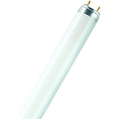 Osram 4058075024427 A+, LED Leuchtstoffröhre Substitube Pure T8 in 150 cm Länge mit G13-Sockel, Glas, 19.1 W, tageslichtweiß, 151.30 x 2.56 x 2.56 cm Osram 4058075024427 A+, LED Leuchtstoffröhre Substitube Pure T8 in 150 cm Länge mit G13-Sockel, Glas, 19.1 W, tageslichtweiß, 151.30 x 2.56 x 2.56 cm