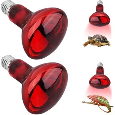 UQTUKO Reptilien Rotlichtlampe, 2 Stück Infrarotlampe Wärmelampe 100W E27 Reptilien Wärmelampe Terrarium Rotlichtlampe Birne Heizlampen für Schildkröten, Amphibien, Schlangen, Eidechsen UQTUKO Reptilien Rotlichtlampe, 2 Stück Infrarotlampe Wärmelampe 100W E27 Reptilien Wärmelampe Terrarium Rotlichtlampe Birne Heizlampen für Schildkröten, Amphibien, Schlangen, Eidechsen