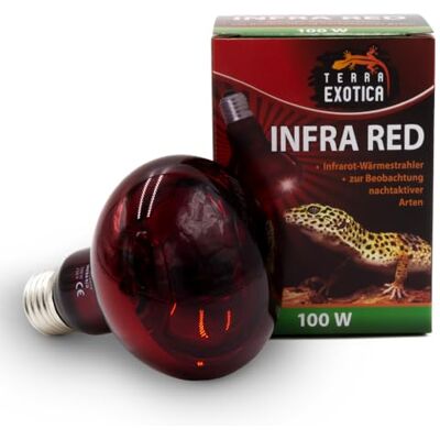 Terra Exotica Infra Red Rotlichtlampe 100 W, Terrarium Wärmelampe Für Reptilien und Terrarientiere – gezielte Infrarot-Wärme, rotes Licht zur nächtlichen Beobachtung und E27-Fassung Terra Exotica Infra Red Rotlichtlampe 100 W, Terrarium Wärmelampe Für Reptilien und Terrarientiere – gezielte Infrarot-Wärme, rotes Licht zur nächtlichen Beobachtung und E27-Fassung