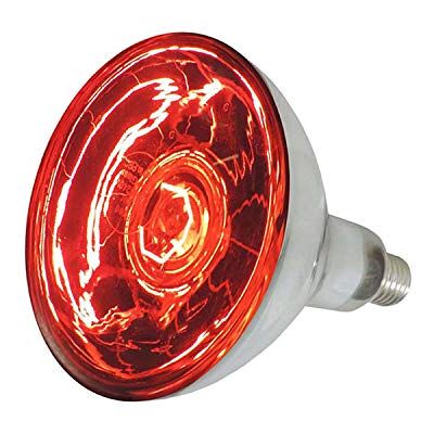 Eider Infrarotlampe 100-, 150 -, 175- und 250 Watt auswählbar Wärmelampe E27 Top Qualität (Wärmelampe 150 Watt) Eider Infrarotlampe 100-, 150 -, 175- und 250 Watt auswählbar Wärmelampe E27 Top Qualität (Wärmelampe 150 Watt)