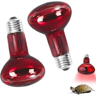 Udbrud Reptilien Rotlichtlampe Birne, 2 Stück Infrarotlampe Wärmelampe Terrarium 100W, E27 Wärmelampe Schildkröten für Schlangen, Eidechsen, Vogelspinne, Kaninchen Udbrud Reptilien Rotlichtlampe Birne, 2 Stück Infrarotlampe Wärmelampe Terrarium 100W, E27 Wärmelampe Schildkröten für Schlangen, Eidechsen, Vogelspinne, Kaninchen