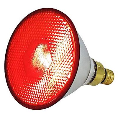 Eider Infrarotlampe 100-, 150 -, 175- und 250 Watt auswählbar Wärmelampe E27 Top Qualität (Energiesparlampe 175 Watt) Eider Infrarotlampe 100-, 150 -, 175- und 250 Watt auswählbar Wärmelampe E27 Top Qualität (Energiesparlampe 175 Watt)