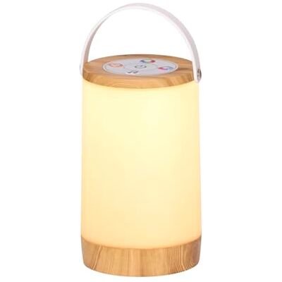 Northpoint LED RGB-IC Laterne für Innen und Außen Regenbogeneffekt Soundsteuerung Holzoptik Northpoint LED RGB-IC Laterne für Innen und Außen Regenbogeneffekt Soundsteuerung Holzoptik