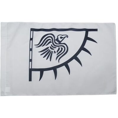AZ FLAG Flagge Wikinger Raven 150x90 cm Fahne Raben Polyester 100D Hohlsaum Für innen und außen dekorative Flagge doppelte Nähte und verstärkte Kanten mit Masttunnel 100D Polyester AZ FLAG Flagge Wikinger Raven 150x90 cm Fahne Raben Polyester 100D Hohlsaum Für innen und außen dekorative Flagge doppelte Nähte und verstärkte Kanten mit Masttunnel 100D Polyester