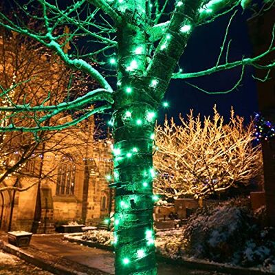 Festive Lights LED Lichterkette – ConnectPRO – erweiterbar bis 950m wetterfeste Outdoor Profiqualität – 2 Jahre Garantie (Grün, 20m) Festive Lights LED Lichterkette – ConnectPRO – erweiterbar bis 950m wetterfeste Outdoor Profiqualität – 2 Jahre Garantie (Grün, 20m)