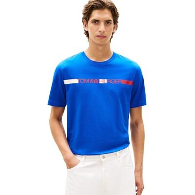 Tommy Hilfiger Herren T-Shirt Kurzarm Brand Love Stripe aus Baumwolle, Blau (Regal Blue), XL Tommy Hilfiger Herren T-Shirt Kurzarm Brand Love Stripe aus Baumwolle, Blau (Regal Blue), XL