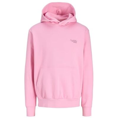 JACK & JONES Jjroar Sweat Hood JACK & JONES Jjroar Sweat Hood