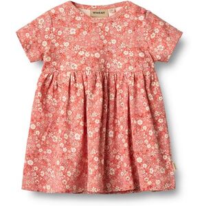 Wheat Mädchen Jersey Kleid Sommerkleid SS/S Nova GOTS Zertifiziert Wheat Mädchen Jersey Kleid Sommerkleid SS/S Nova GOTS Zertifiziert