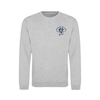 AMERICAN COLLEGE USA , Sweatshirts, Pullover, Jungen, Mädchen, Westen, Hoodies, Fleece, Jacke, Thermo, Mit Kapuze, Kinder Bekleidung, Unisex, Modell ACSCRW6 MELL Grey 14 Jahre AMERICAN COLLEGE USA , Sweatshirts, Pullover, Jungen, Mädchen, Westen, Hoodies, Fleece, Jacke, Thermo, Mit Kapuze, Kinder Bekleidung, Unisex, Modell ACSCRW6 MELL Grey 14 Jahre