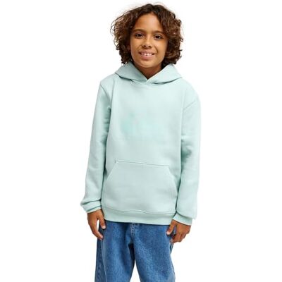 Quiksilver Jungen Comp Logo Hoodie Youth Pullover (1er Pack) Quiksilver Jungen Comp Logo Hoodie Youth Pullover (1er Pack)