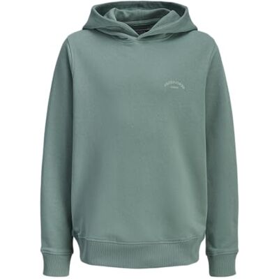 JACK & JONES Jjcollege Logo Sweat Hood Jnr JACK & JONES Jjcollege Logo Sweat Hood Jnr