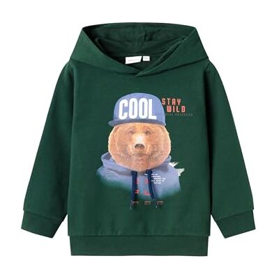 NAME IT Boy Hoodie Regular Fit NAME IT Boy Hoodie Regular Fit