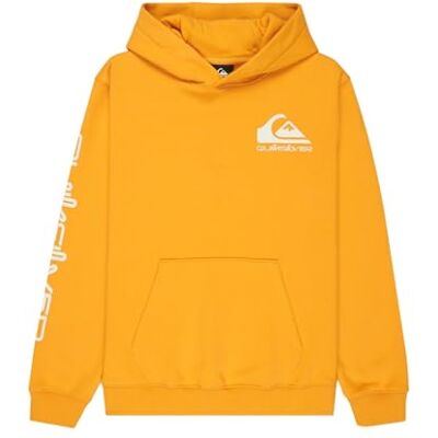 Quiksilver Fleecepullover Omni Logo Hoodie, Jungen, 8-16 Jahre, Gelb Quiksilver Fleecepullover Omni Logo Hoodie, Jungen, 8-16 Jahre, Gelb